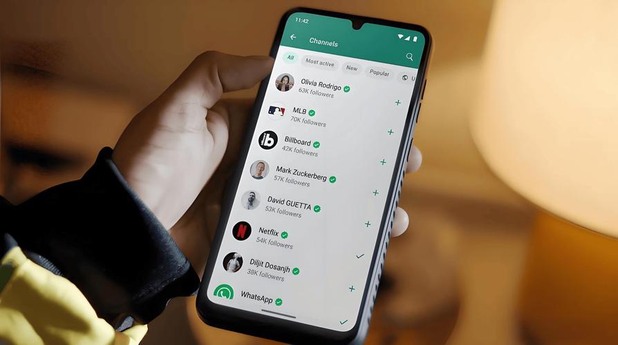 whatsapp收不到短信、WhatsApp收不到短信怎么联系客服?