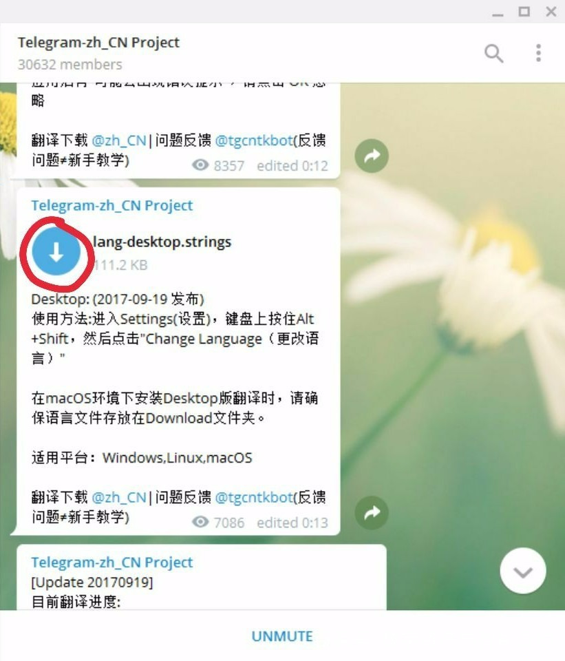 包含电报telegram搜索技巧的词条