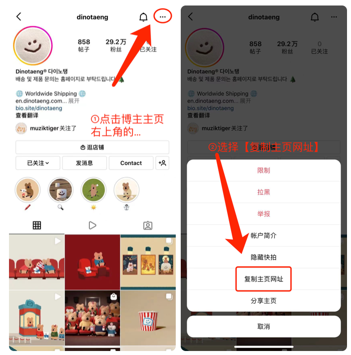 instagram下载链接最新版-instagramdownloader下载