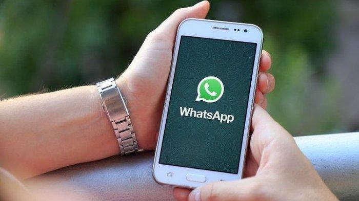 whatsapp下载安卓最新版本-whatsapp安卓版官方下载2020