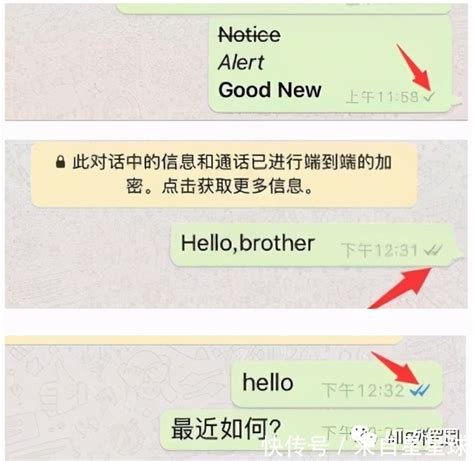 whatsapp中国手机号怎么注册-whatsapp用国内手机号注册连接不了