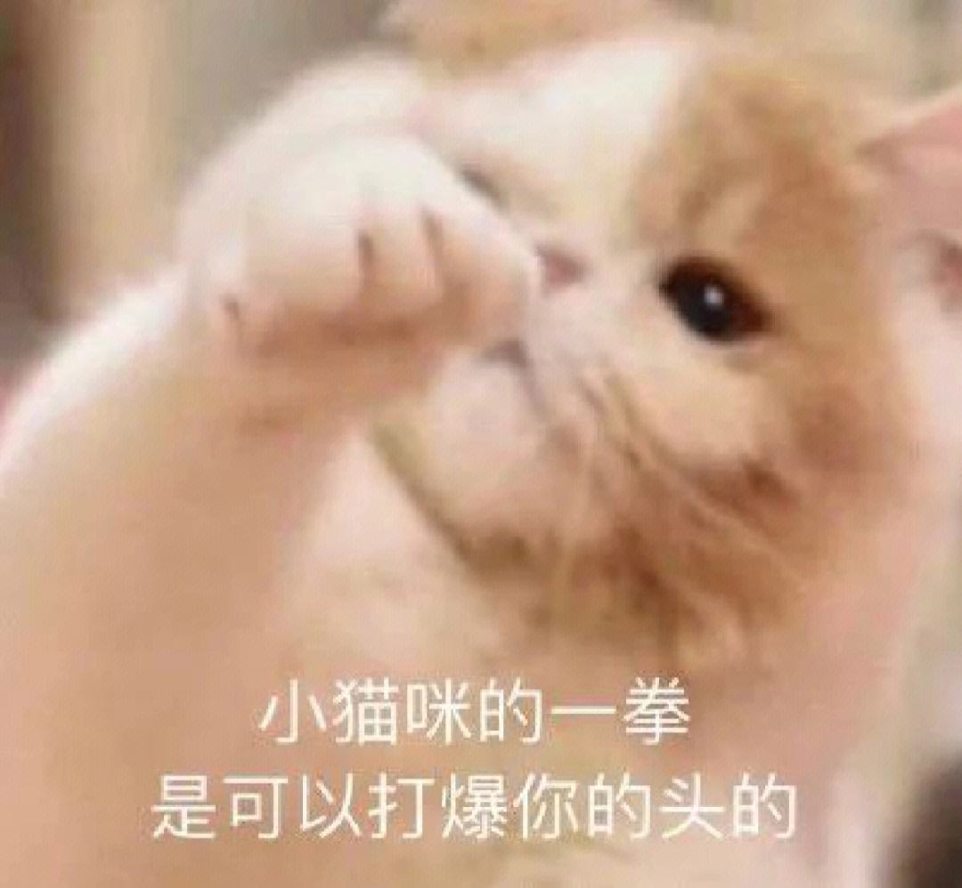 电报猴子骂人别tmbb了的简单介绍