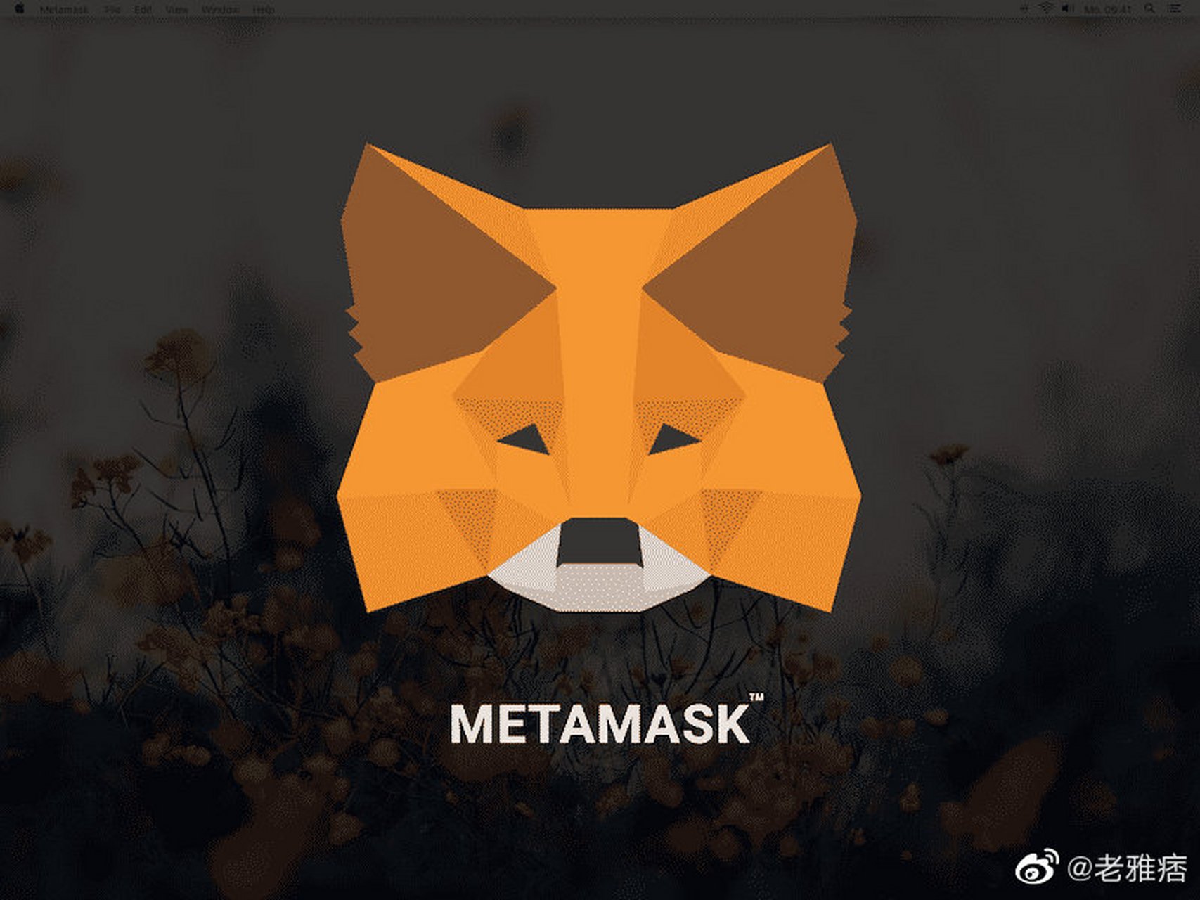 metamask小狐狸官网-metamask小狐狸钱包提币