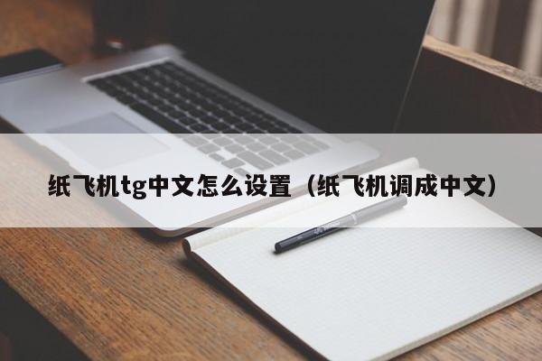 纸飞机app中文怎么换的简单介绍