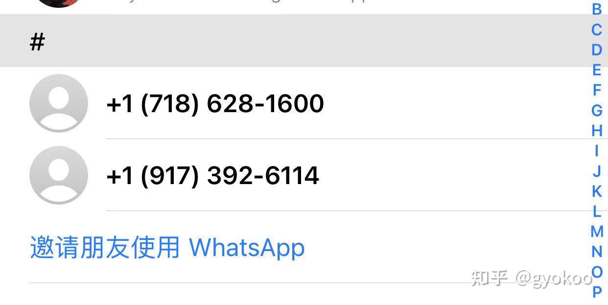 whatsapp香港版下载-whatsapp for android download