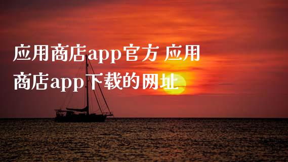 应用商店app下载官方网站下载安装-应用商店app下载官方网站下载安装星辉