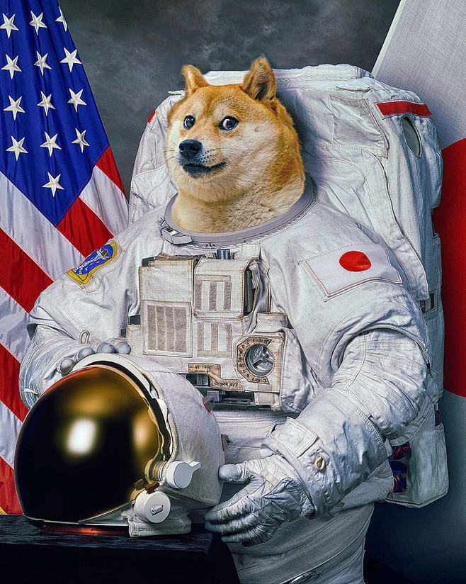 doge-doge在聊天中什么意思