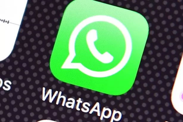 whatsapp已阅读-whatsapp可以看到已读