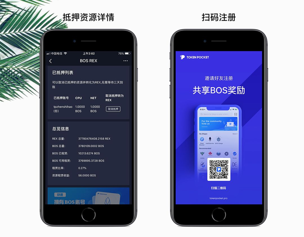 TP钱包安全吗、tp钱包在中国合法吗