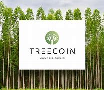 tokeneco怎么读、token economy怎么读