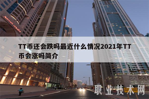 tt币官网、tt币最新价格