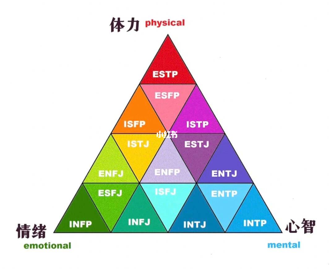 intp官网免费版、intp ti ne