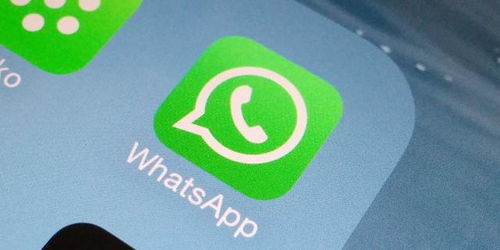 whatsapp安卓下载最新版本下载、whatsapp安卓版官方下载2020