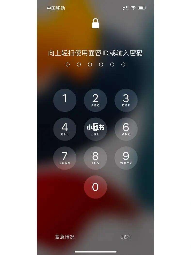 iphone钱包密码忘了怎么办、苹果手机钱包密码忘了手机打不开了