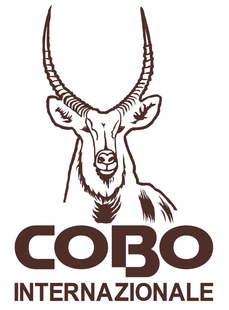 cobol、cobol护肤品