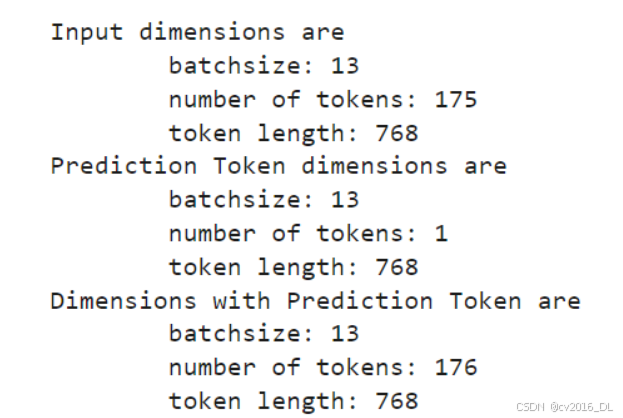 tokenmoney例子、token meaning