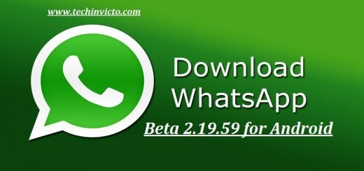 whatsapp安卓2020中文版下载、whatsapp安卓中文版下载v217251