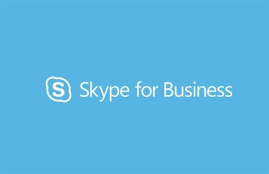 skype是什么意思英语、skype什么意思中文翻译