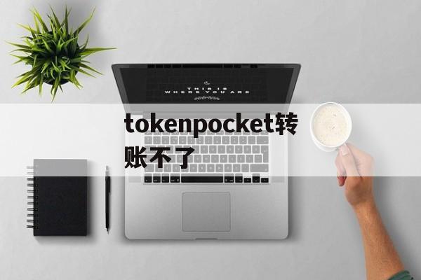 tokenpocket转账不了、tokenpocket钱包下载不了